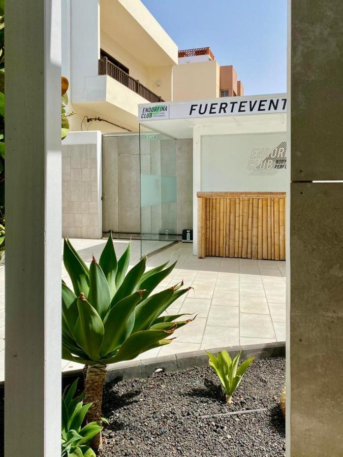 Casa Perla - Cozy Apartment Pool Side كوراليهو المظهر الخارجي الصورة